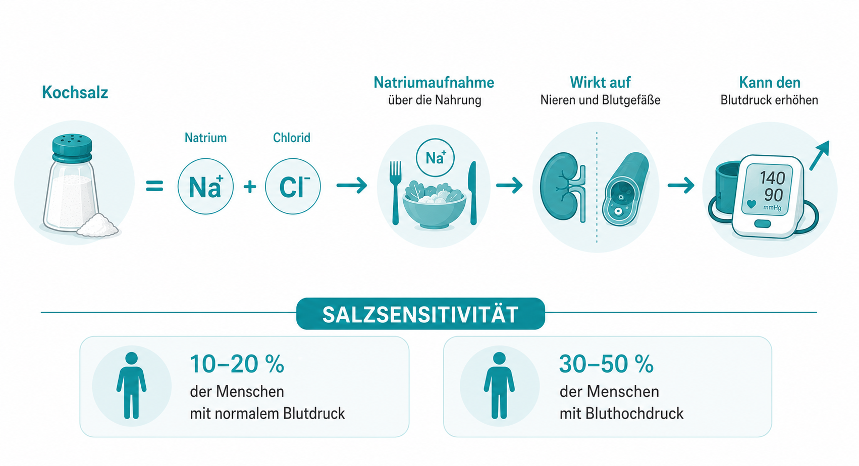 Infografik zum Zusammenhang zwischen Kochsalz, Natriumaufnahme, Nieren, Blutgefäßen und Blutdruck sowie zur Häufigkeit der Salzsensitivität